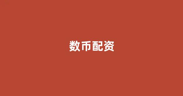 摆渡配资